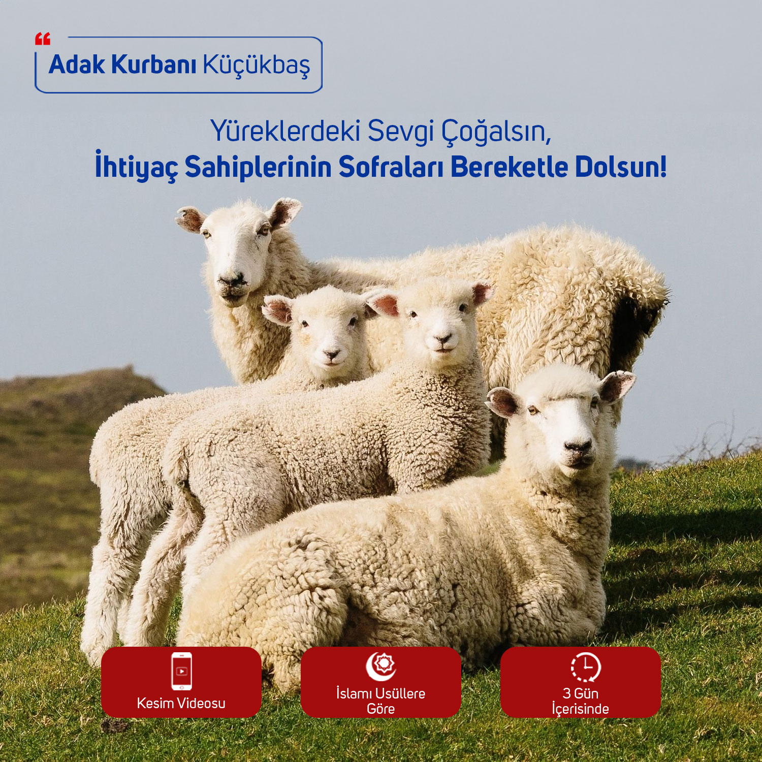 Adak-Akika-Sadaka Kurbanı